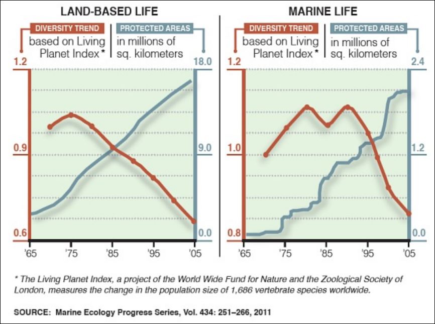 Click to enlarge bio diversity chart