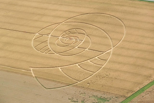 Click to enlarge Crop Circle 3