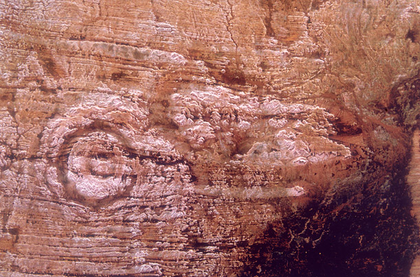 Click to enlarge Image