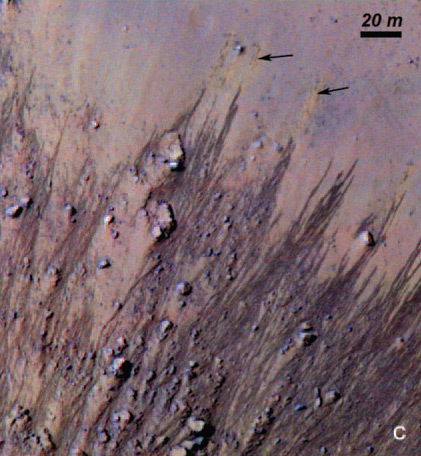 Click to enlarge Image