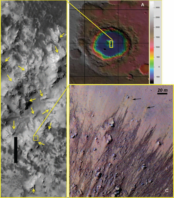 Click to enlarge Image