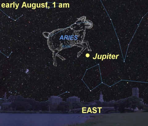 Click to enlarge Image