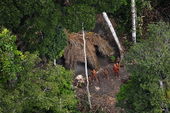 Click to enlarge Amazon Tribe