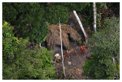 Click to enlarge Amazon Tribe