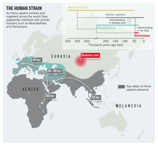 Click to enlarge Ancient DNA