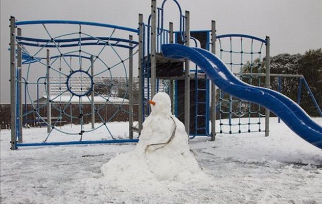 Wellington snowman
