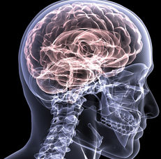 Click to enlarge brain graphic