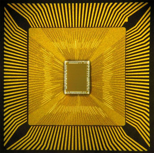 New Chip