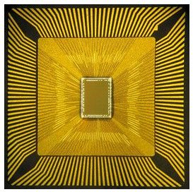 ibmscatbrainchip