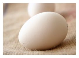 Alli_Chic Egg?