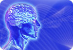 Click to enlarge brain