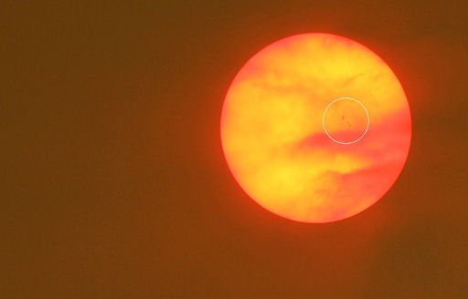 Click to enlarge Sunspot 1271