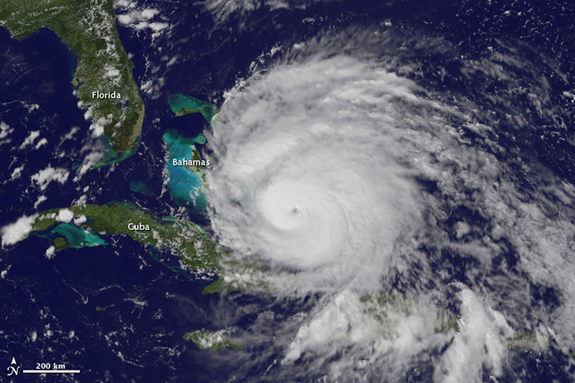Click to enlarge Irene