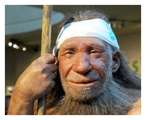 Click to enlarge Neanderthal