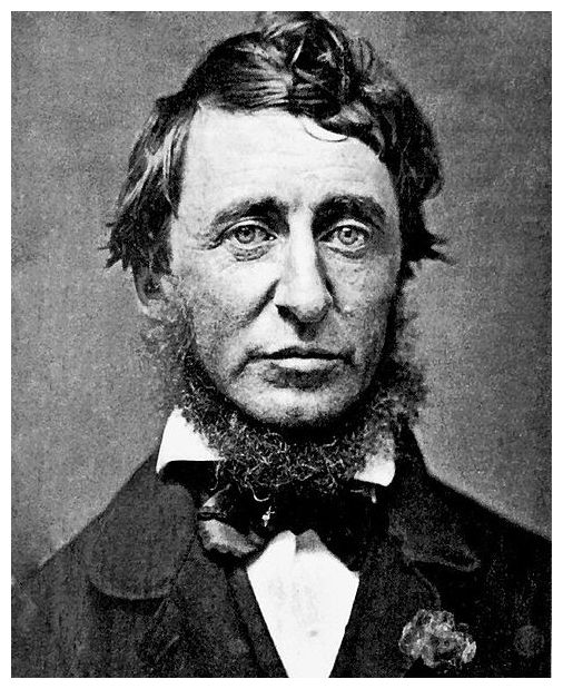 Henry Thoreau