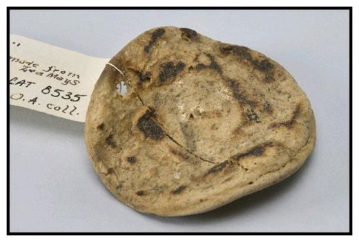 Click to enlarge 111 Year Old Tortilla