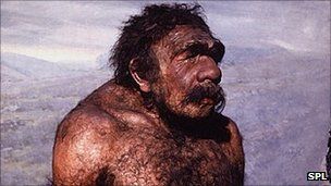 The neanderthals story