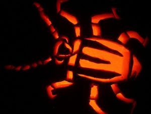 Click to enlarge rootworm
