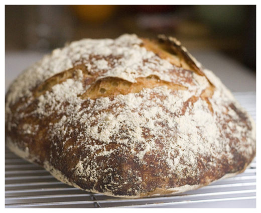 Bread