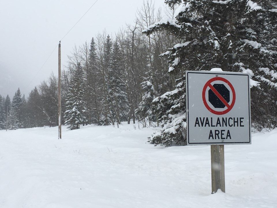 Avalanche area. | File photo