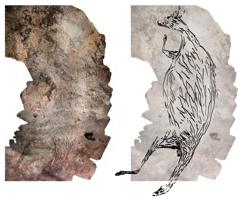 Click to enlarge 17300 year old painting