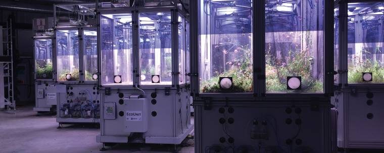 Click to enlarge biodiversity laboratory