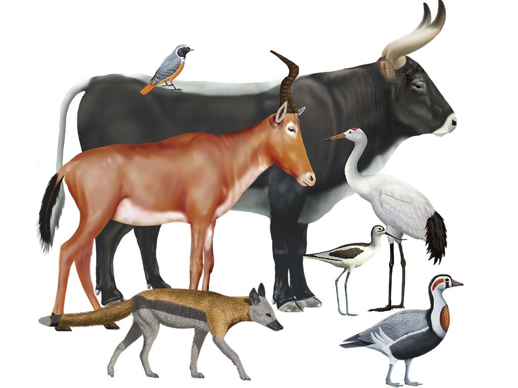Click to enlarge Extinct Animals