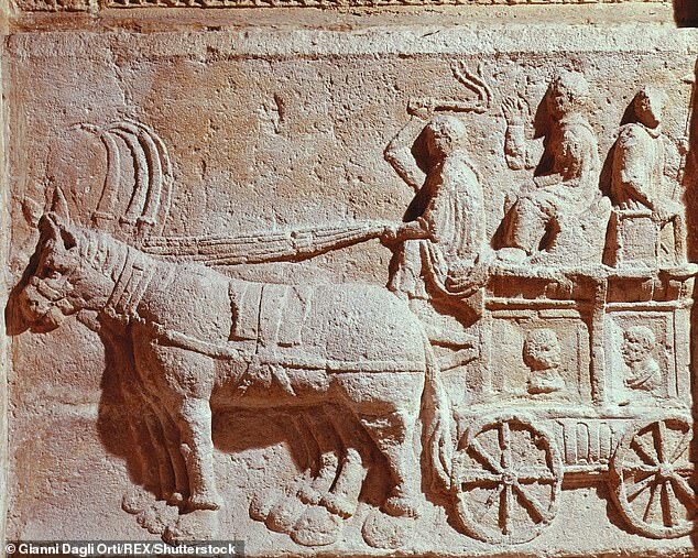 image roman chariot