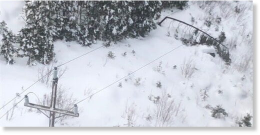 Fallen tree on  transmission line.