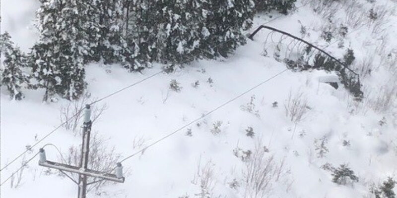 Click to enlarge Fallen tree on transmission line.