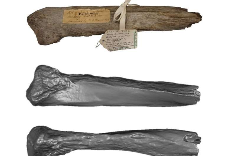 Click to enlarge mammoth