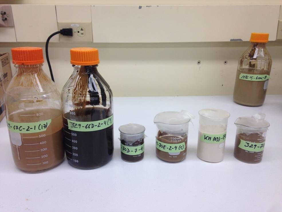 sediment
