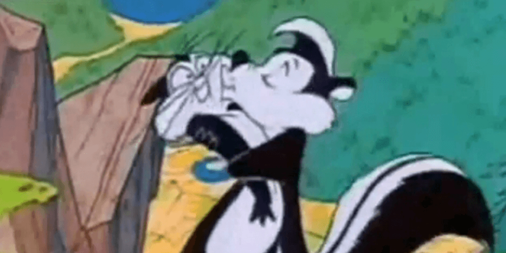 Pepe Le Pew Mon Cheri
