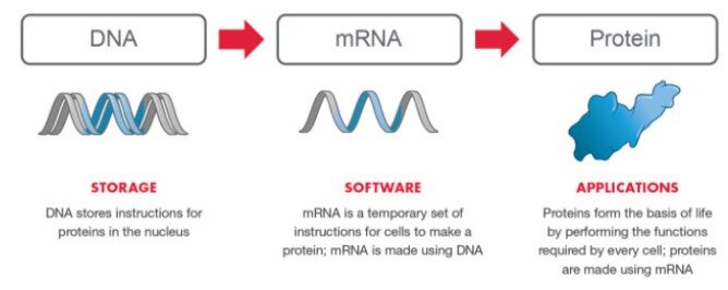 Click to enlarge bioinformatics