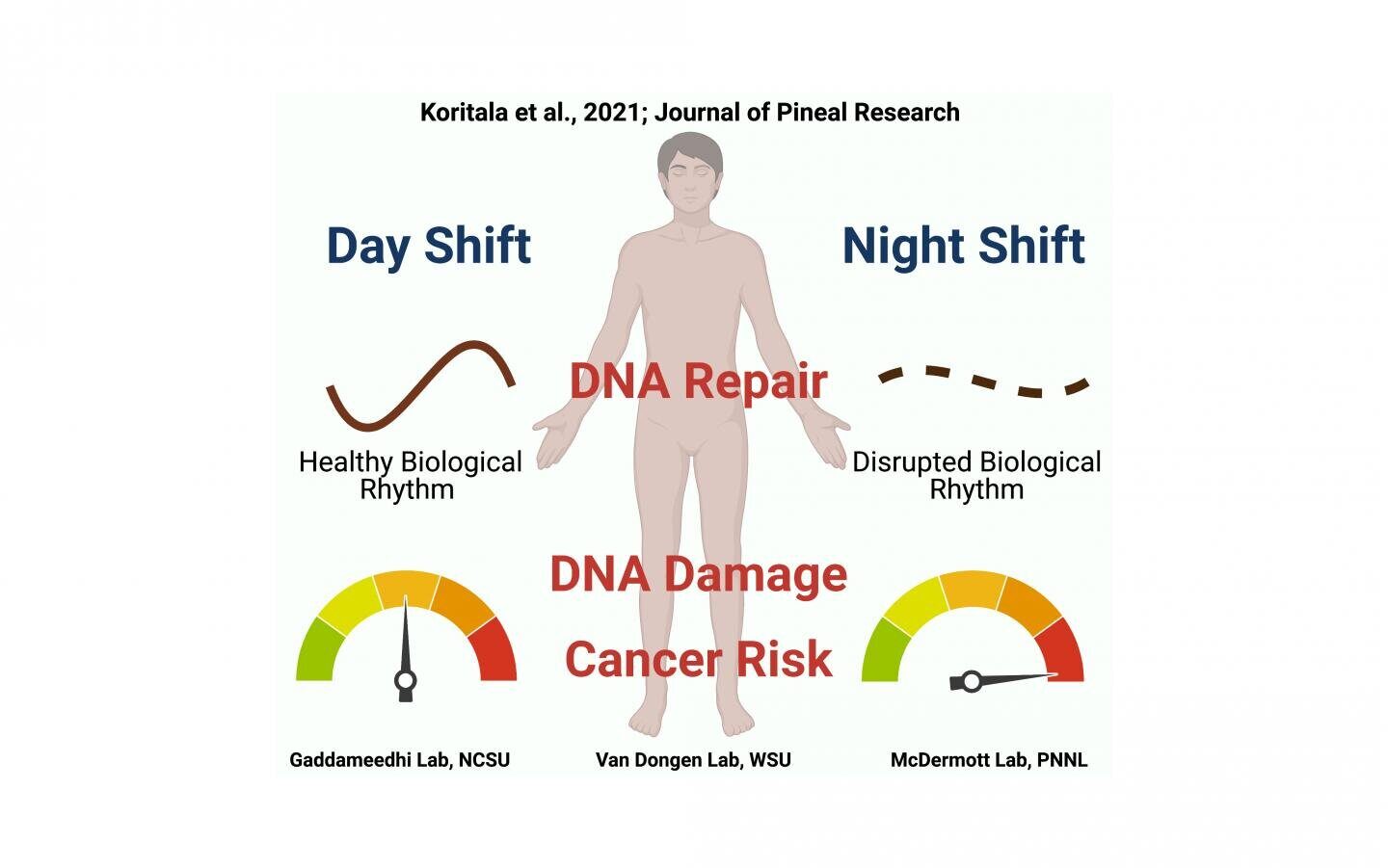 Click to enlarge night shift