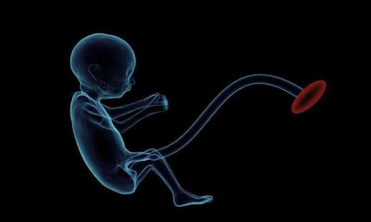 baby placenta