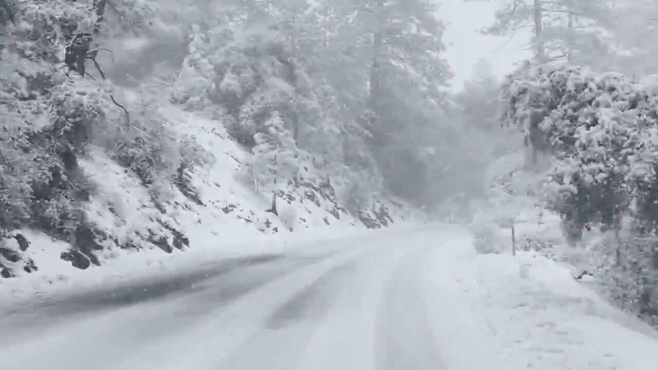 Storm dumps heavy snow on Mount Laguna