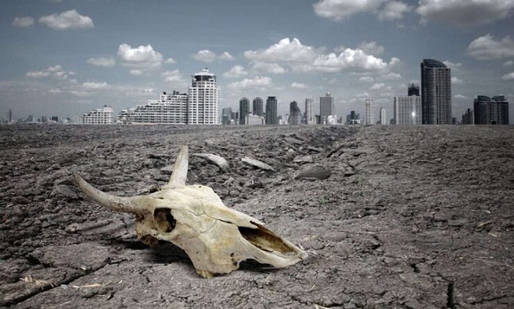 Click to enlarge skull on beach