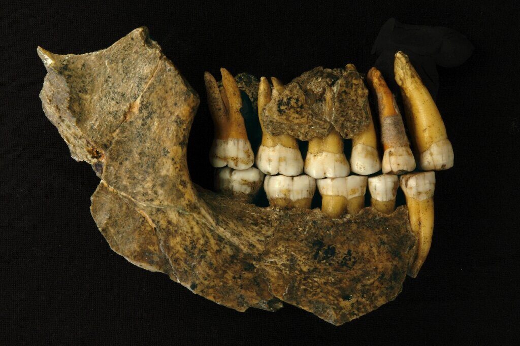 Neanderthal