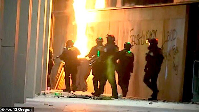 Click to enlarge Flag burning/cops