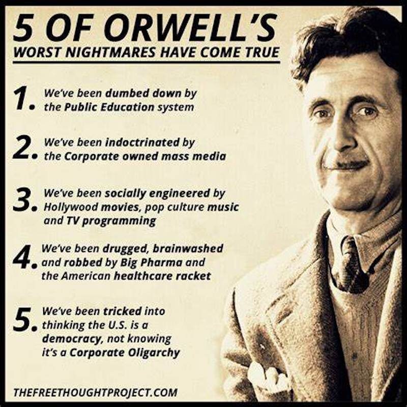 5 of Orwell's