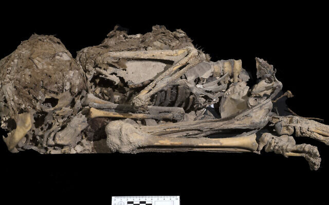 skeleton