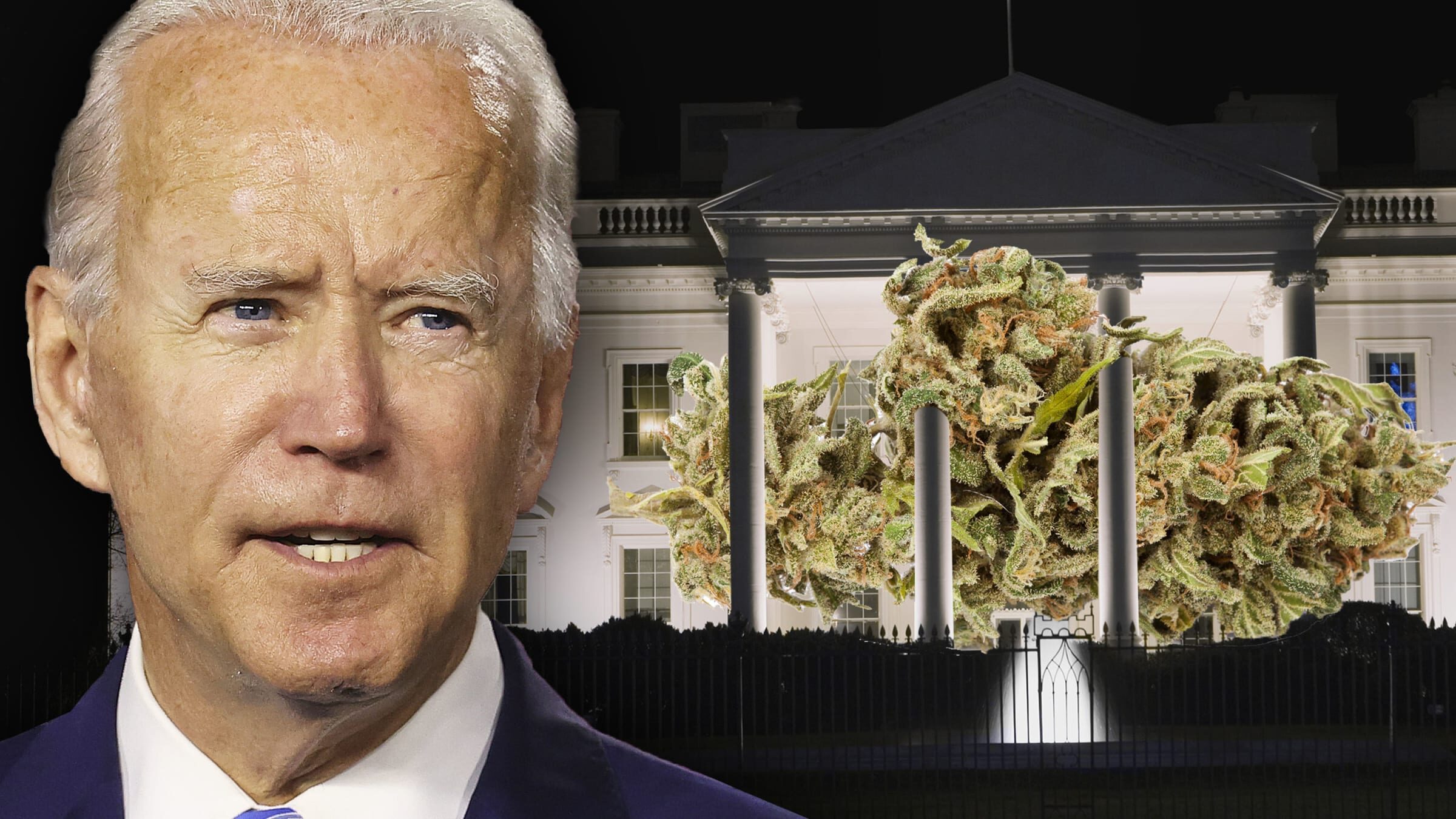 biden marijuana staff resign white house