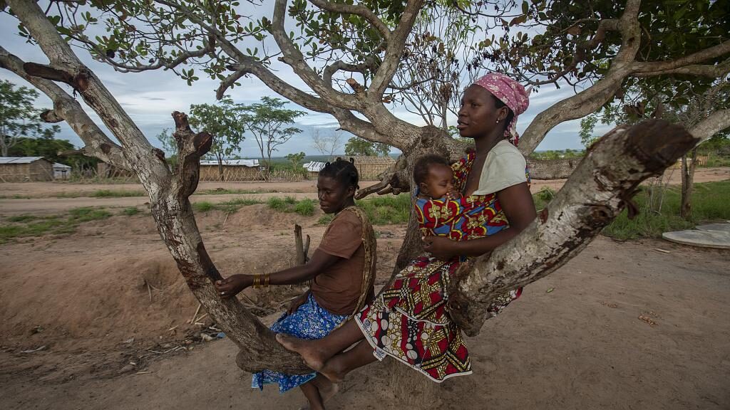 Women and a child rest in a tree