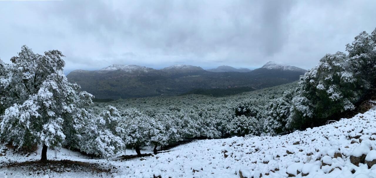 snow