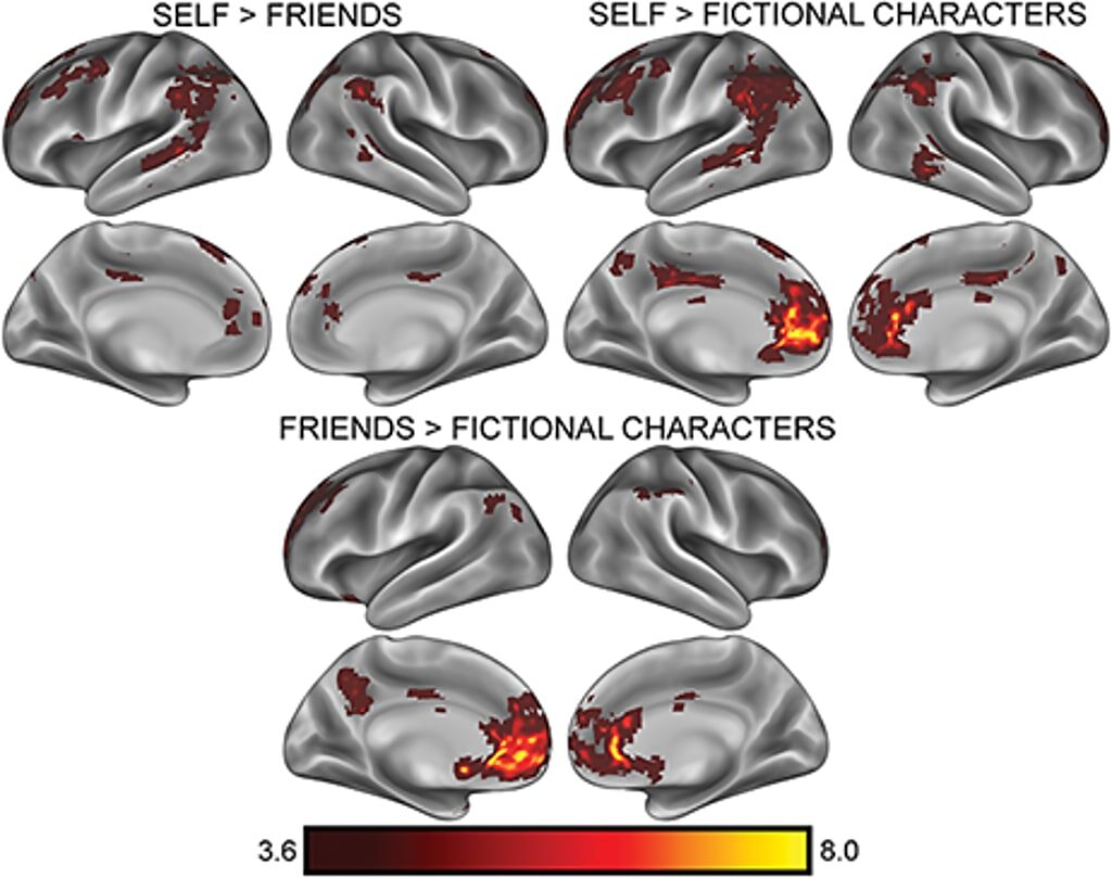 Click to enlarge identifiation fiction characters brain scan