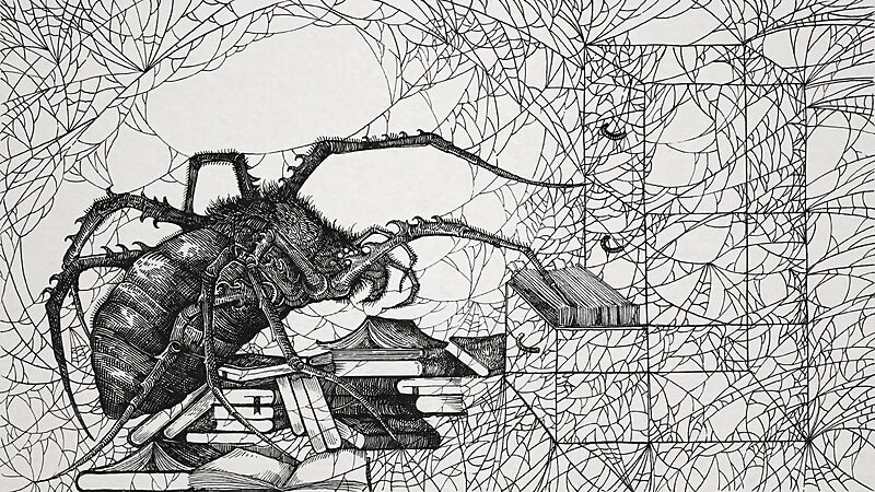 graphic spider web books cognition