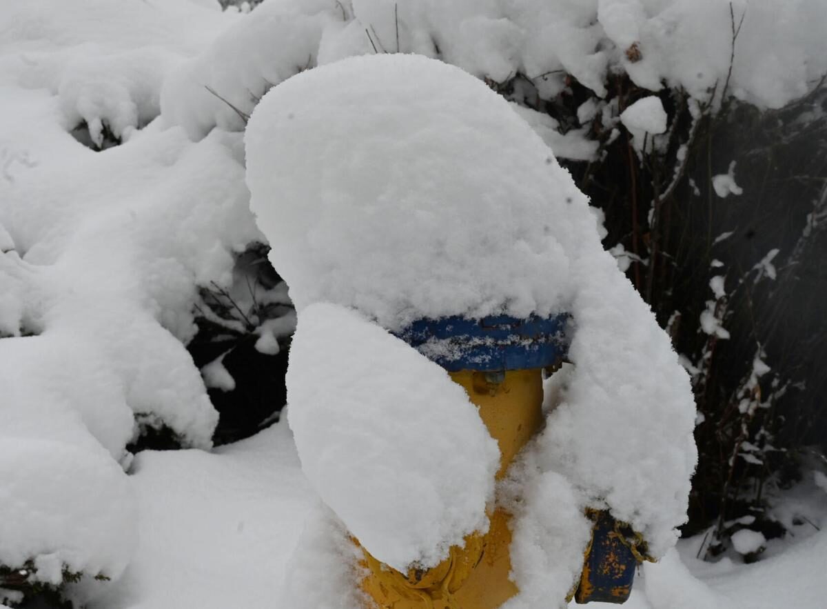 snow