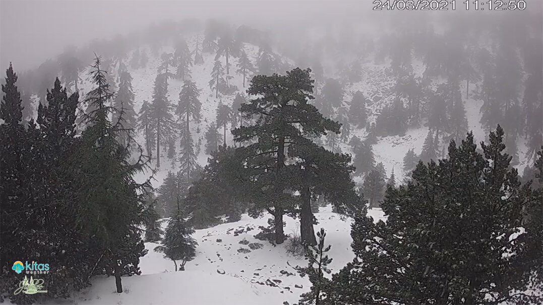 Click to enlarge SNOW