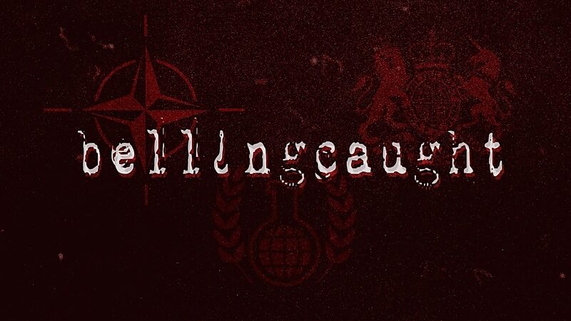 Bellingcat OPCW whistleblower